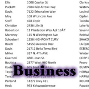 100 Business Leads
